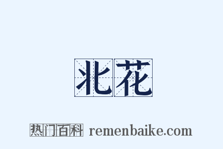 北花是什么意思的图片